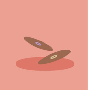 Meet your Posher, Abigail